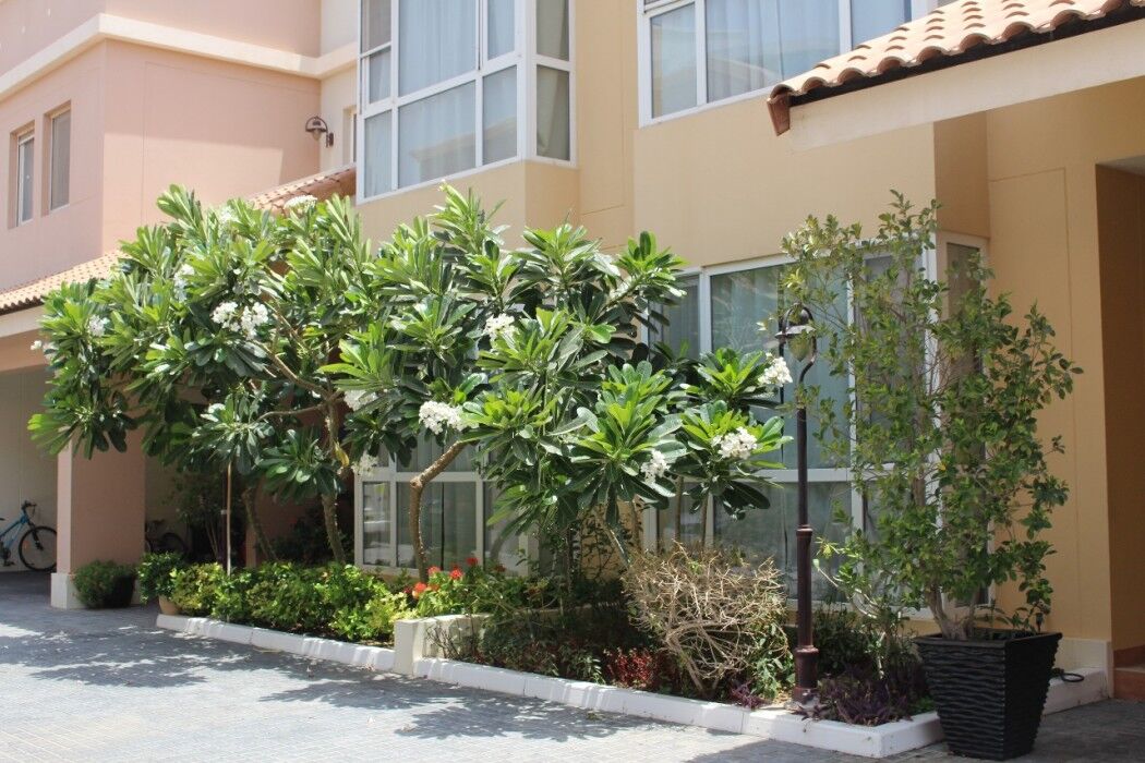 Barsha Gardens By J5 Holiday Homes Dubai Exterior photo